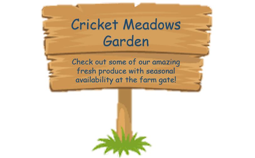 Cricket Meadows Garden sign saying to check out some of our amazing fresh produce!