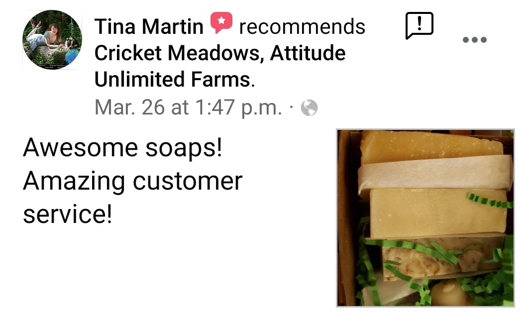 Awesome soaps! Amazing customer service! dated Mar 26, 2020 by Tina Martin
